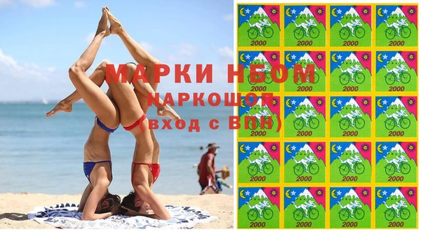 индика Гусь-Хрустальный