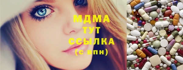 индика Гусь-Хрустальный