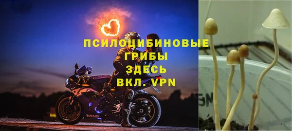 индика Гусь-Хрустальный