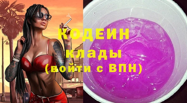 индика Гусь-Хрустальный