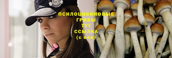 ПСИЛОЦИБИНОВЫЕ ГРИБЫ Гусиноозёрск