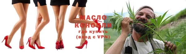 индика Гусь-Хрустальный