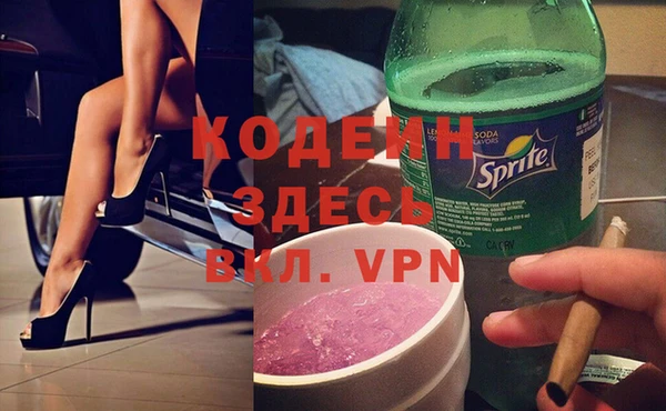 индика Гусь-Хрустальный