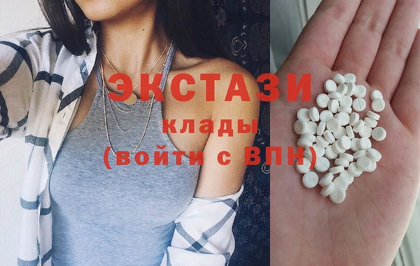 индика Гусь-Хрустальный