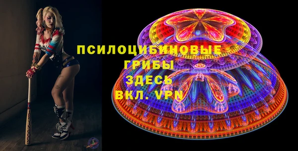 ПСИЛОЦИБИНОВЫЕ ГРИБЫ Гусиноозёрск