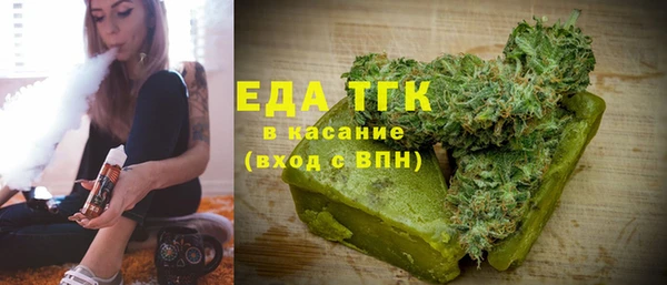 индика Гусь-Хрустальный