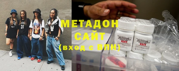 индика Гусь-Хрустальный