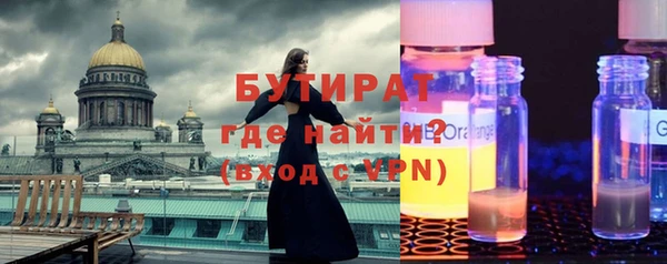 индика Гусь-Хрустальный